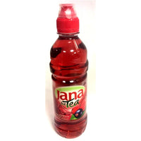 Ice Tea Jana Sumsko Voce&Brusnica | Ijsthee Waldfrucht&Veenbes | 0.5L