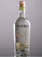 Dinja Anteria | Meloen Brandy Anteria | 40 % 0.7l