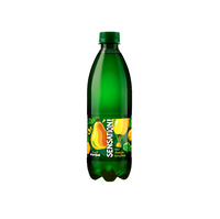 Sensation Dunja&Kruska | Kiseljak Mineraalwater | 0.5L