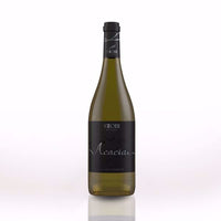 Chardonnay Selection | Stobi 2021 | 13,5% 0.75L